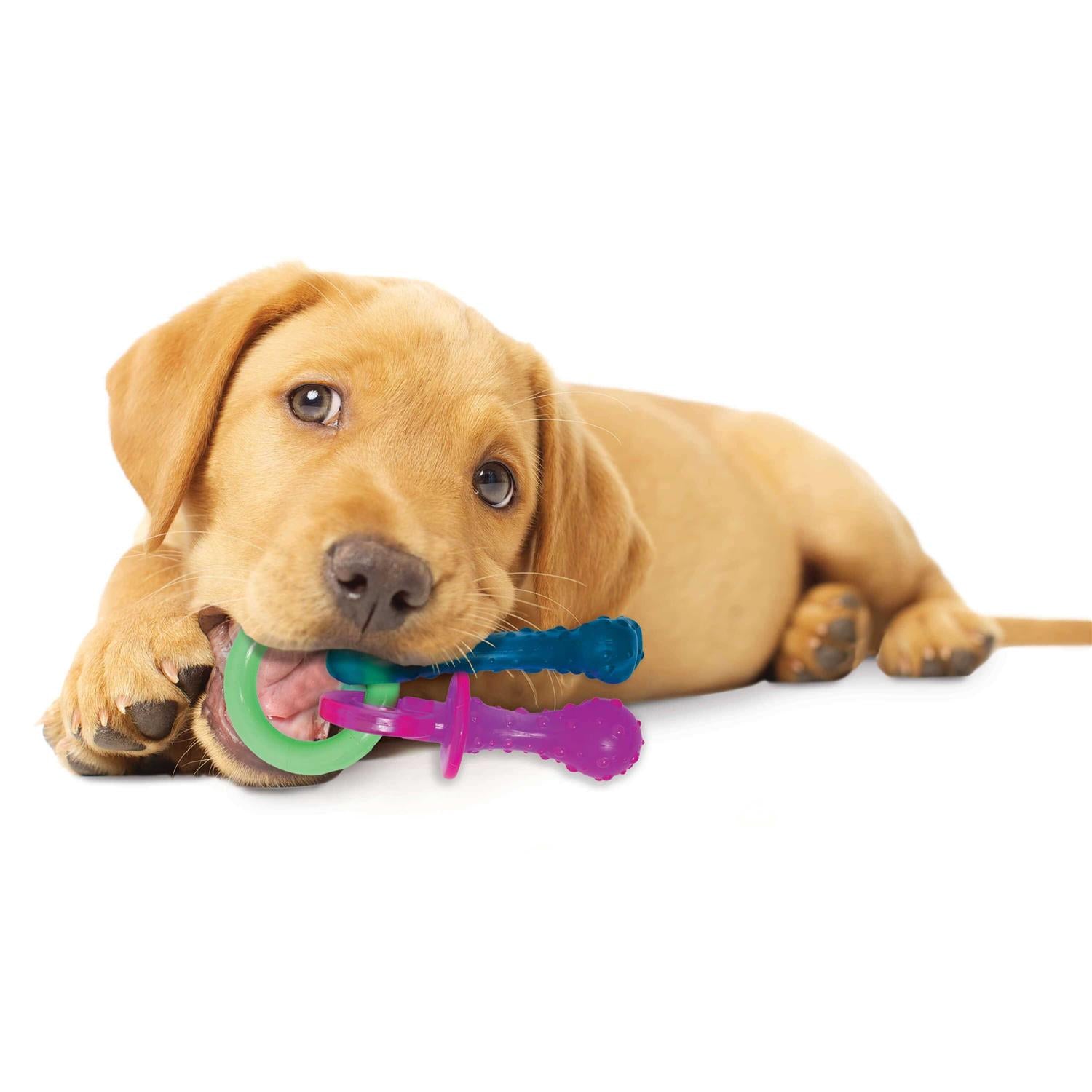 Puppy Chew Teething Pacifier Pet Supplies a7