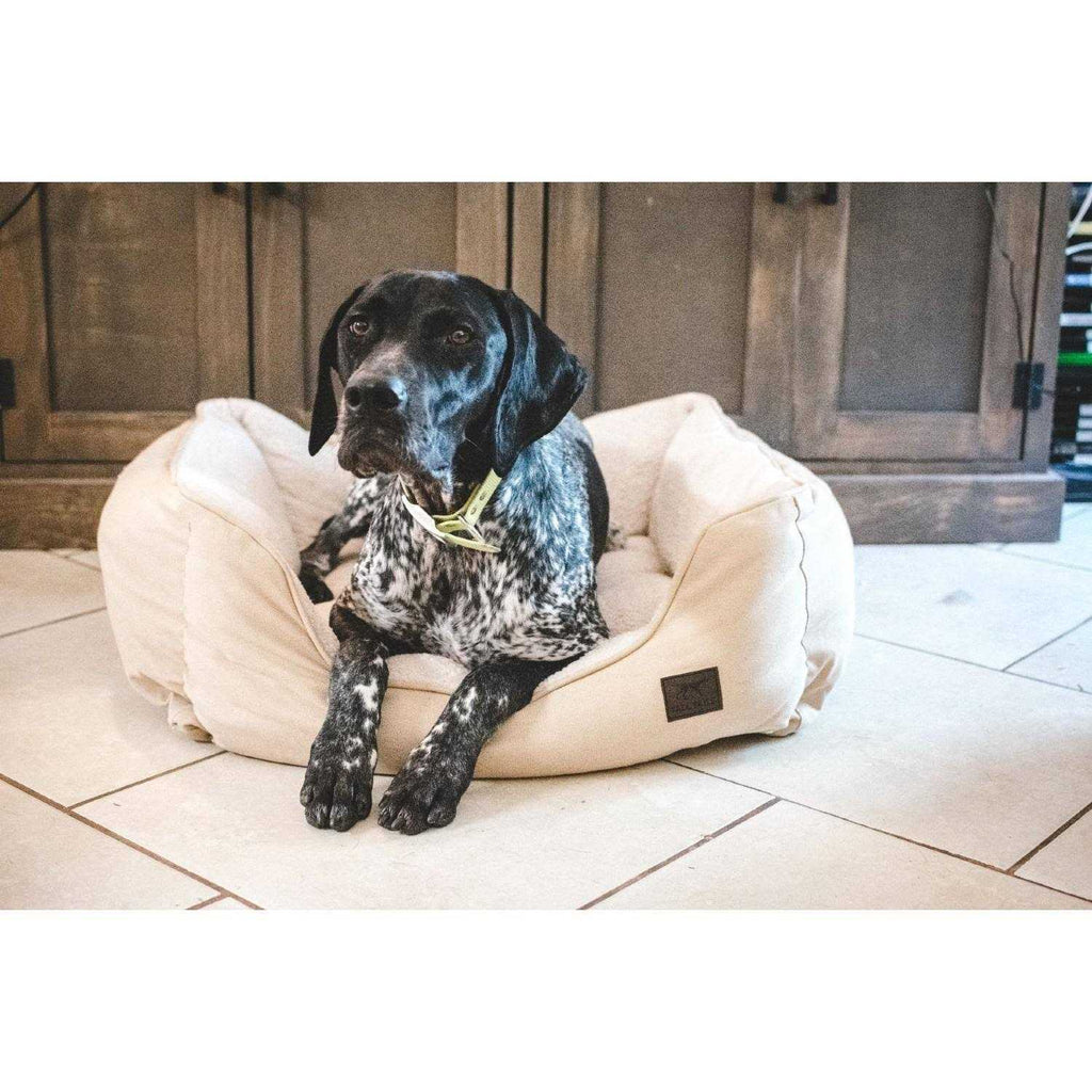Pet Bolster Bed for Dogs q7k