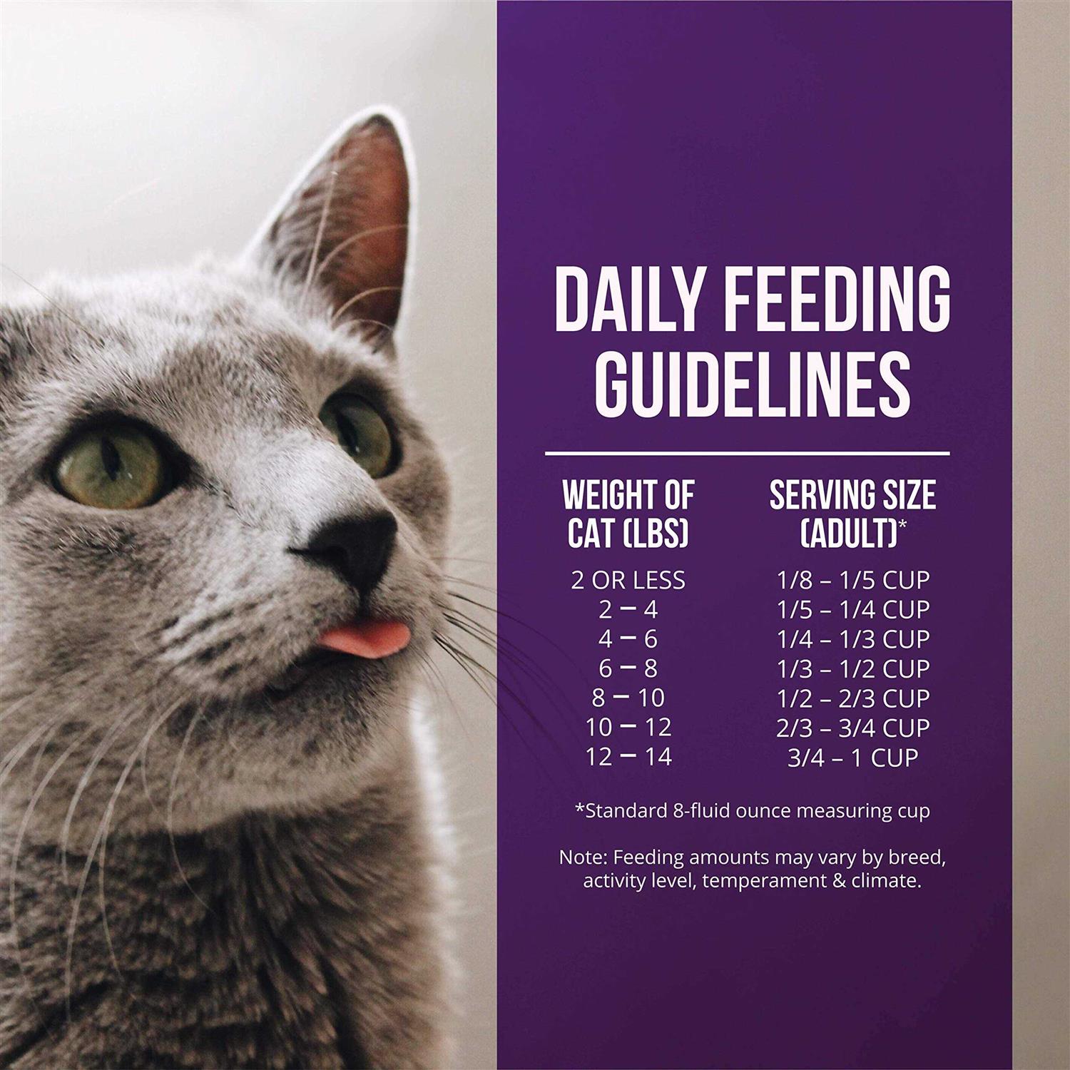 Quail & Duck Dry Cat Food k7m