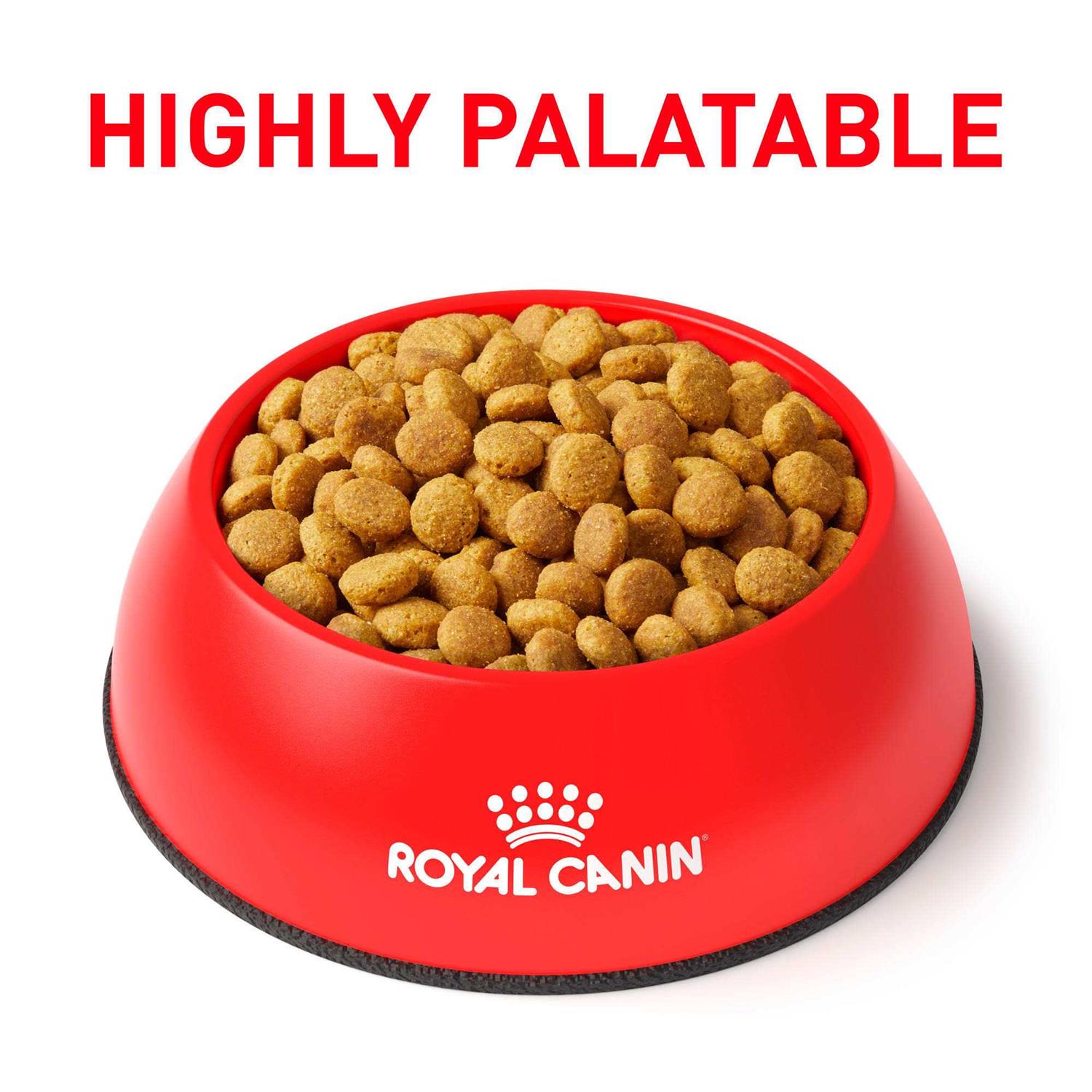 Gastrointestinal Moderate Calorie Dry Cat Food k7m