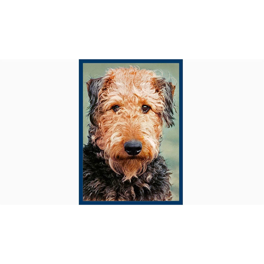 Dental Bones Dog Treats Pet Supplies a7
