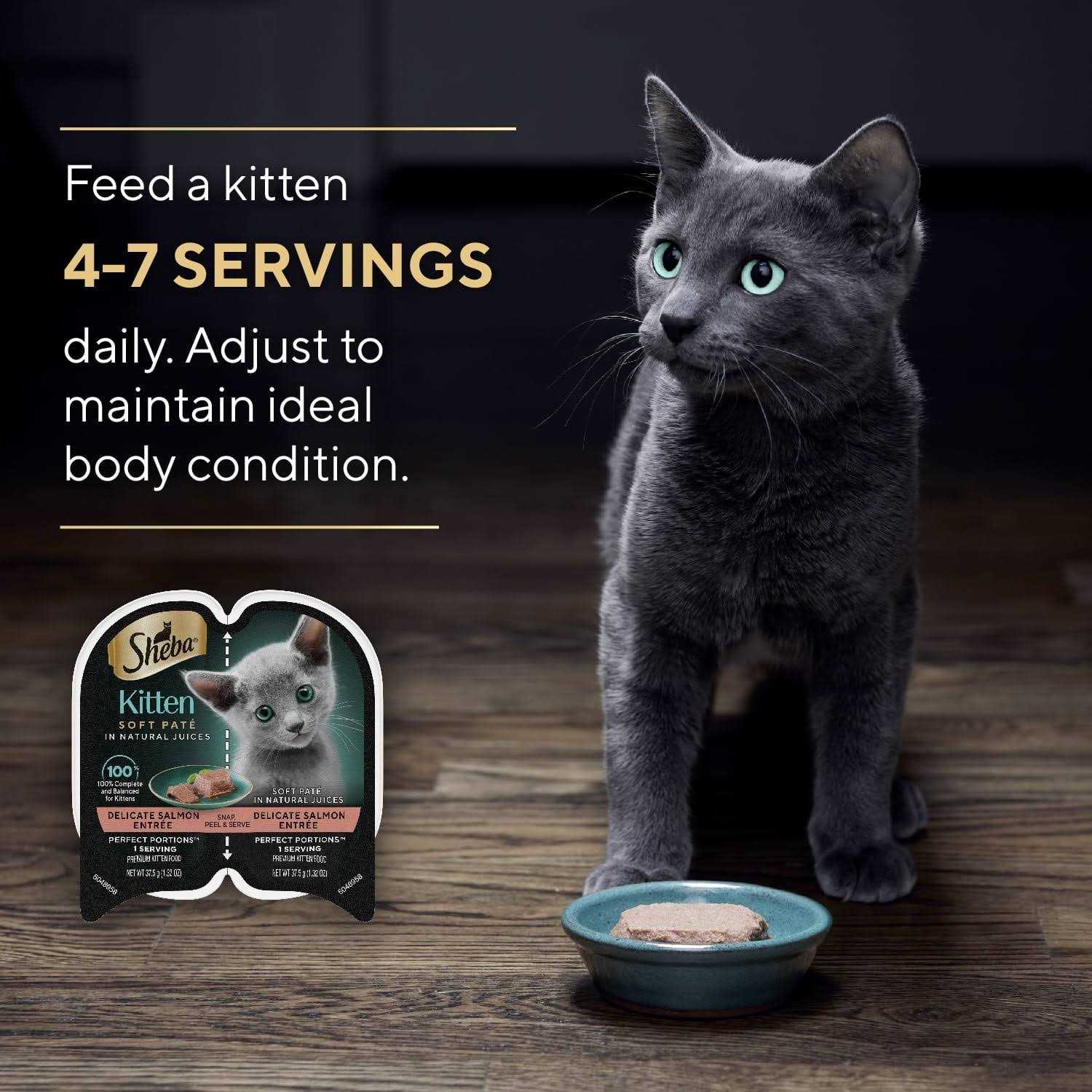 Kitten Food Pate a7k