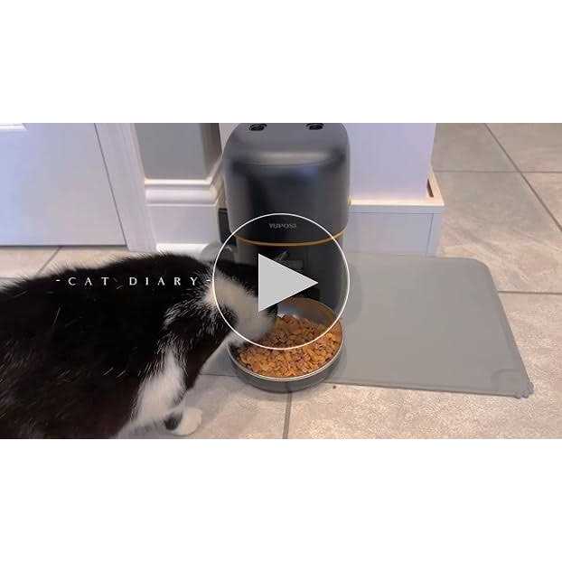 Automatic Cat Feeder 68oz Food Dispenser a7k