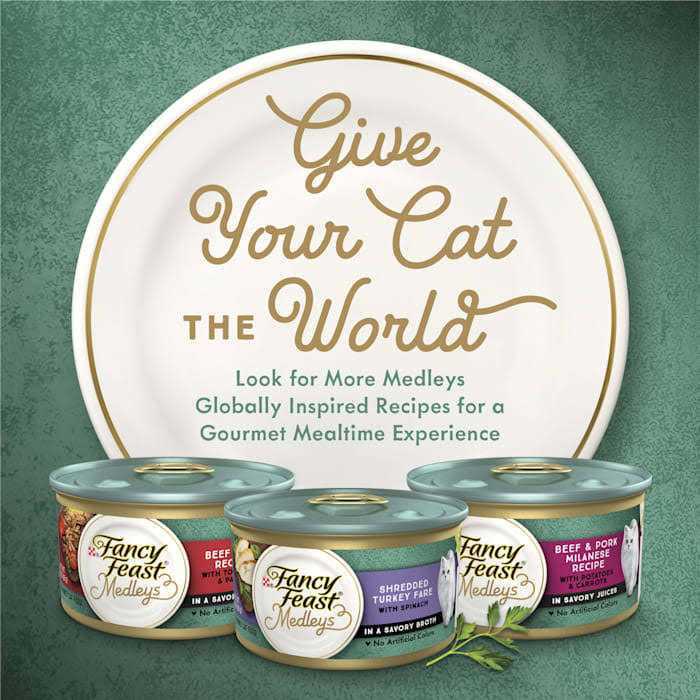 Wet Cat Food Salmon Recipe with Garden Veggies in Sauce k7m
