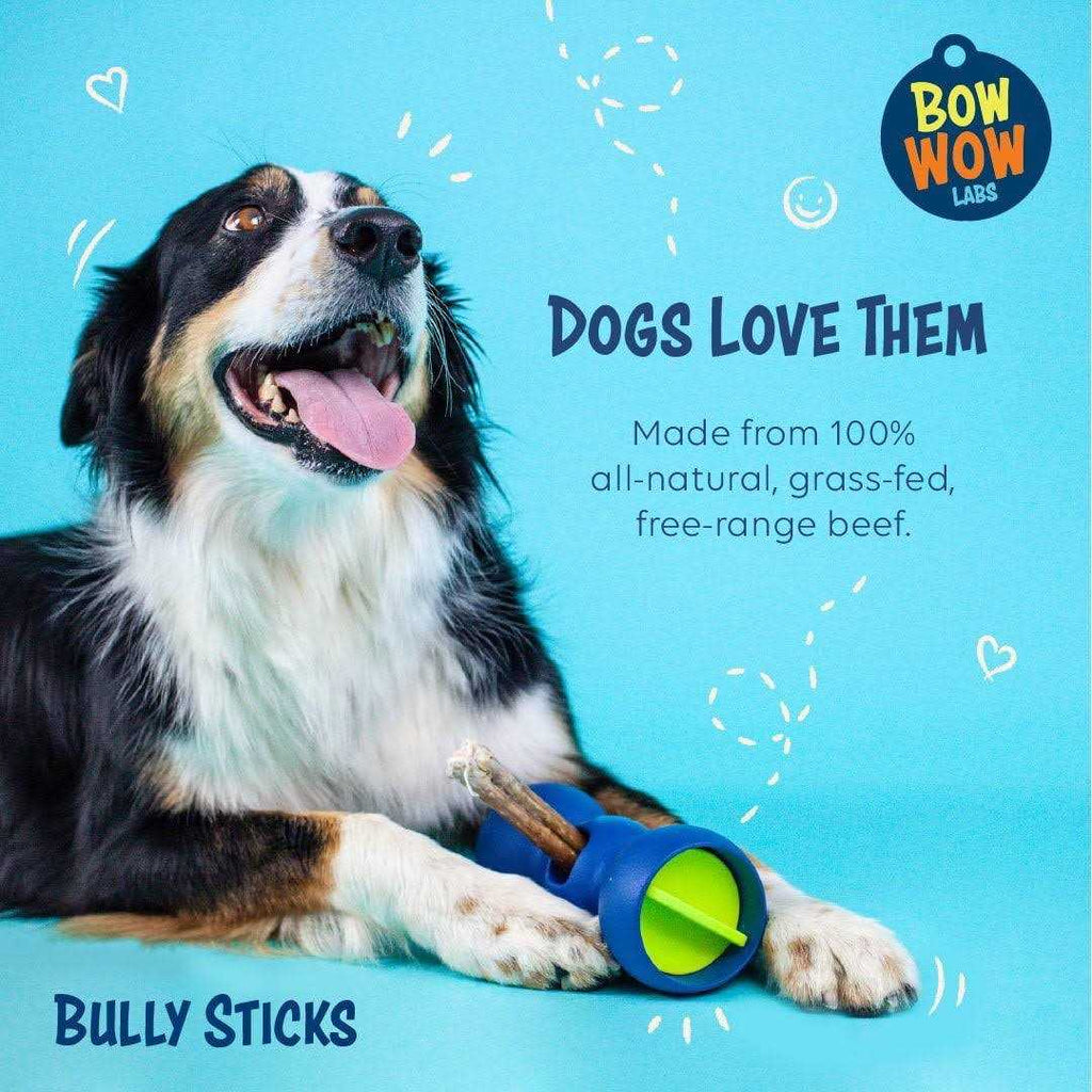 Bully Sticks for Dogs Pet Supplies k7m