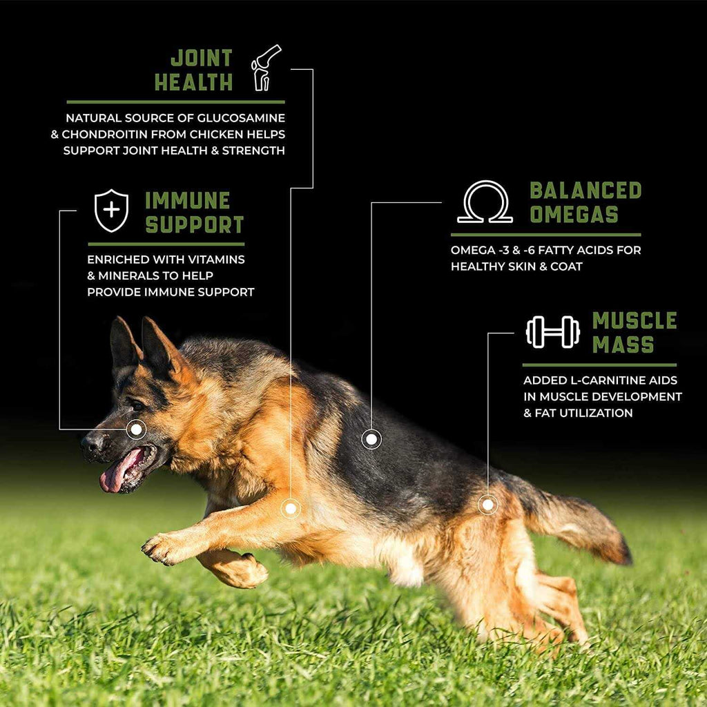 Grain-Free Performance Chicken Dry Dog Food k7p