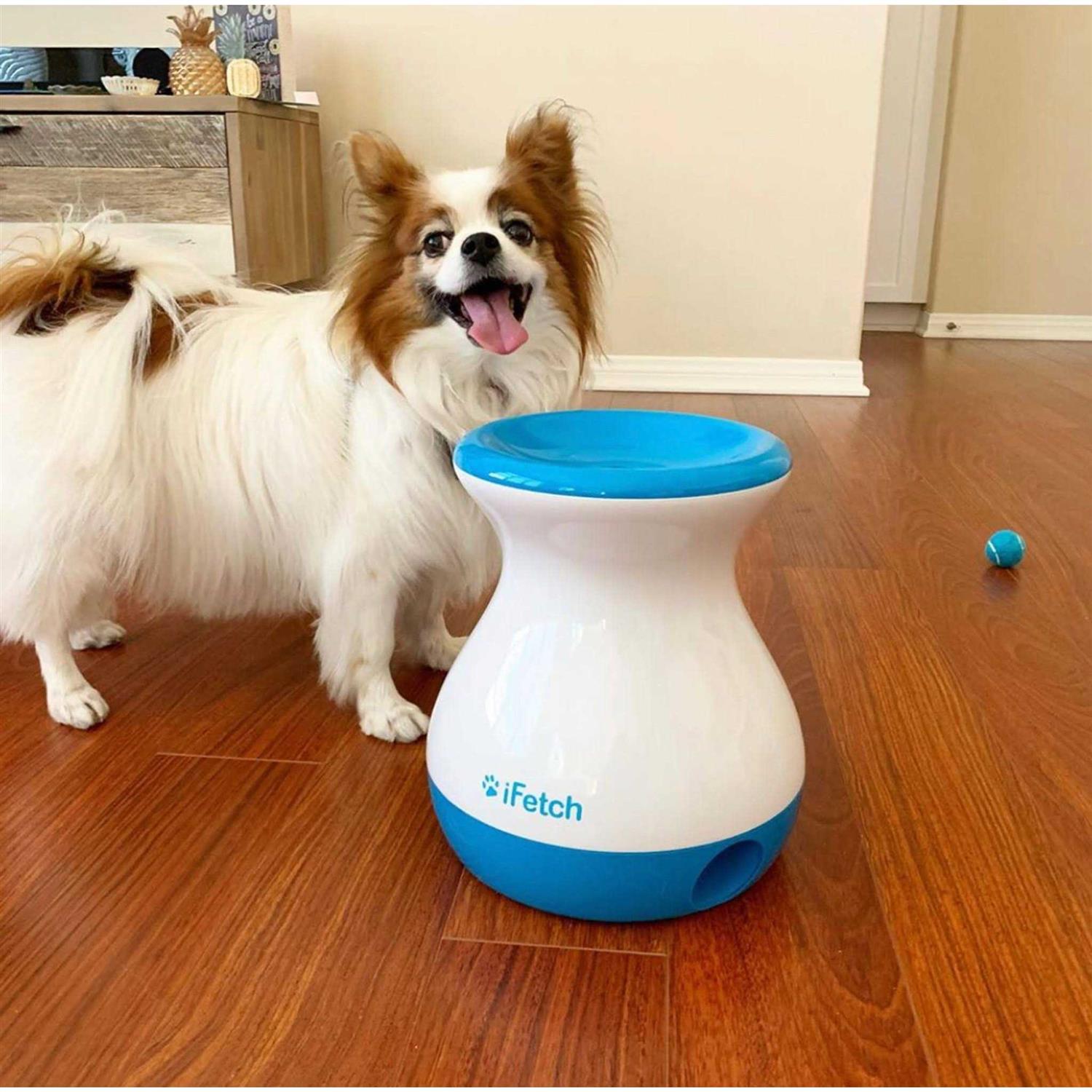 Dog Toy Interactive Fetch Game k7