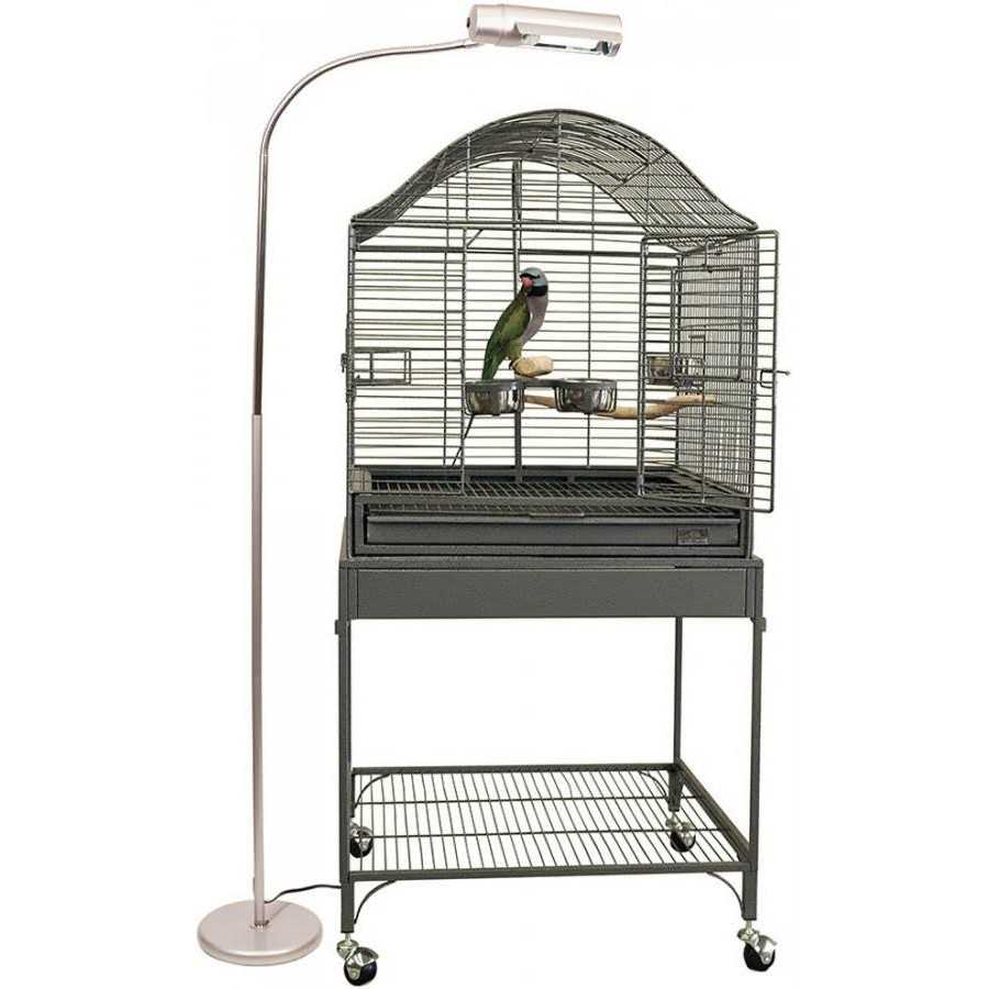 Avian Sun Deluxe Floor Lamp for Birds a7