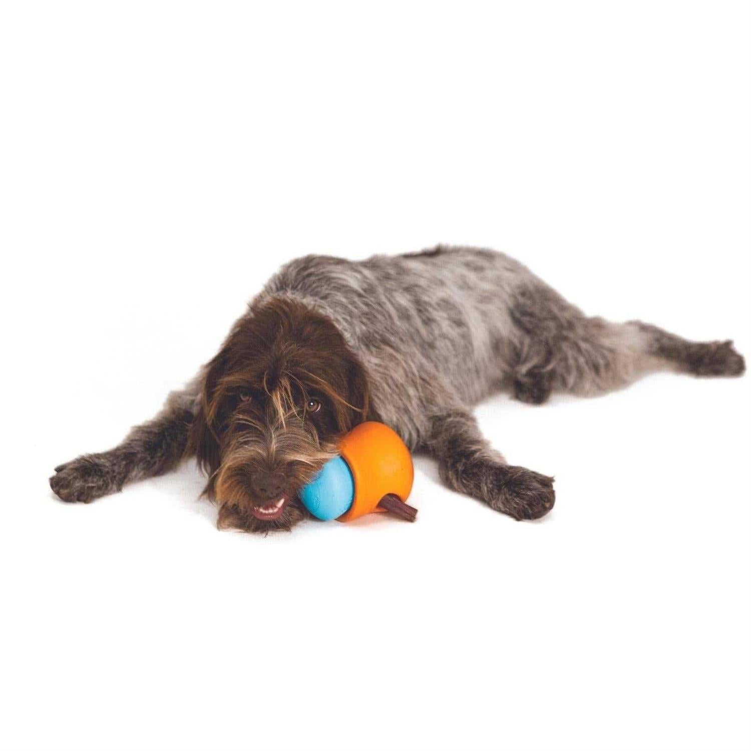 Dog Toy Puzzle Feeder a7