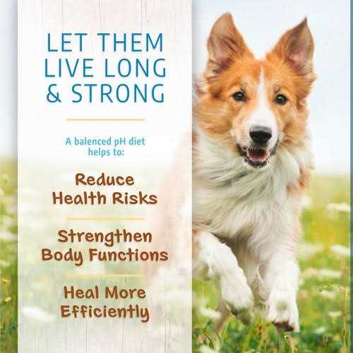 Dry Dog Food All Life Stages Alkaline Entree k7p