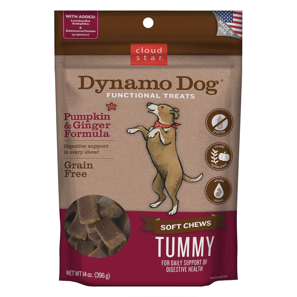 Cloud Star Dynamo Dog Pumpkin &amp; Ginger Tummy Treats - Pet Supplies online store