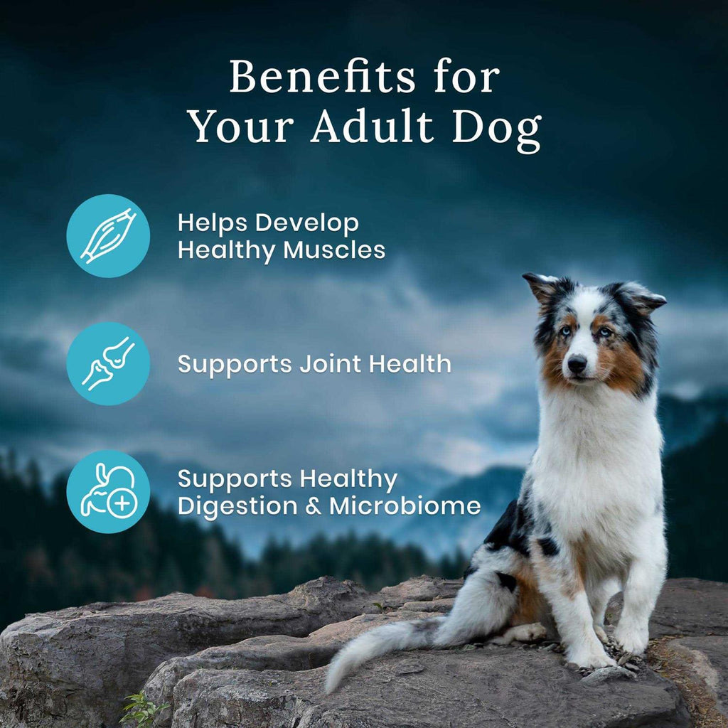 Chicken Dry Dog Food Adult Blend k7p