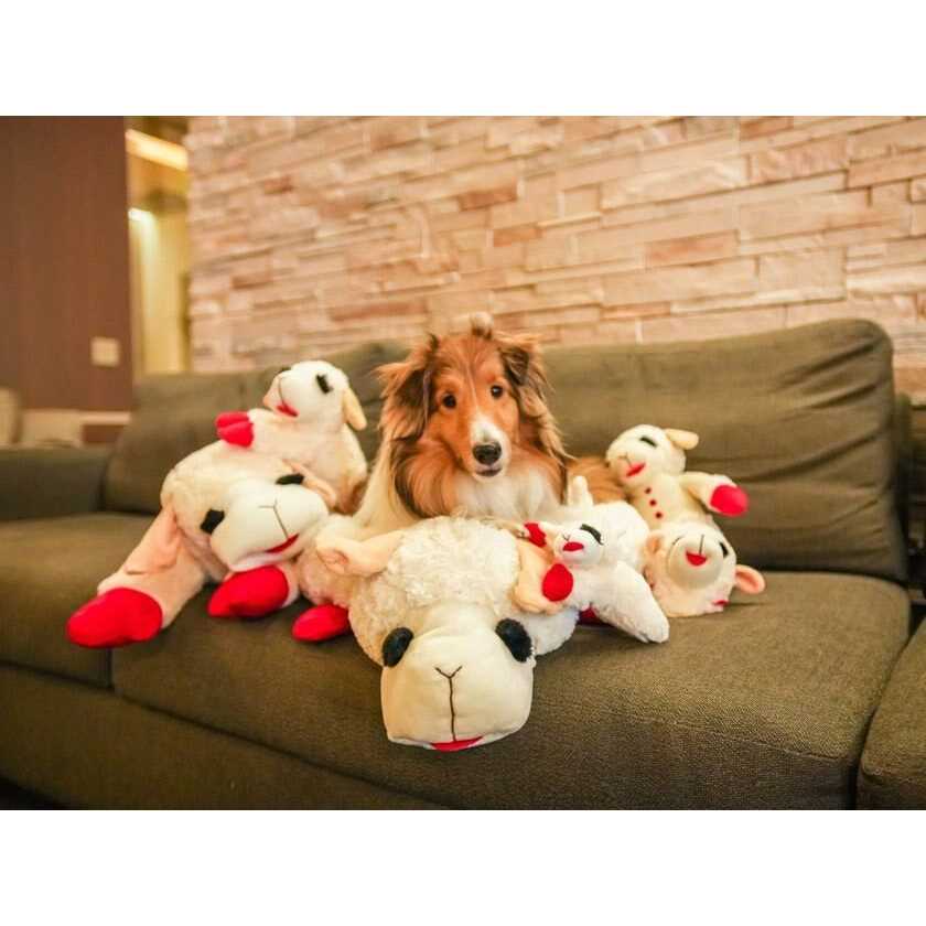 Dog Bed Plush Toy a7