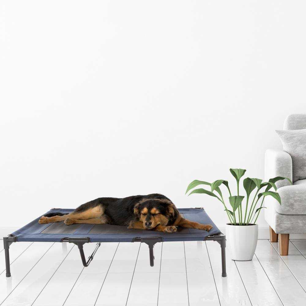 Elevated Pet Bed for Dogs Cats 7k