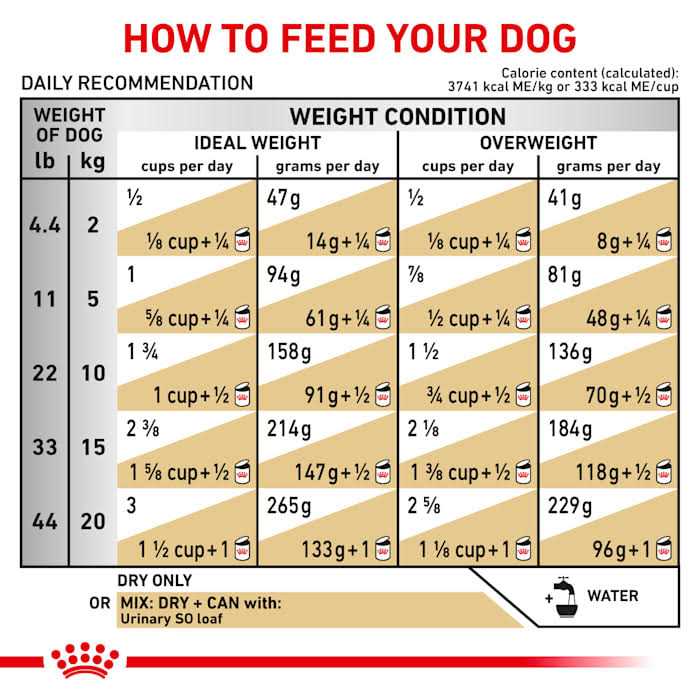 Dry Dog Food Urinary Support Diet a7