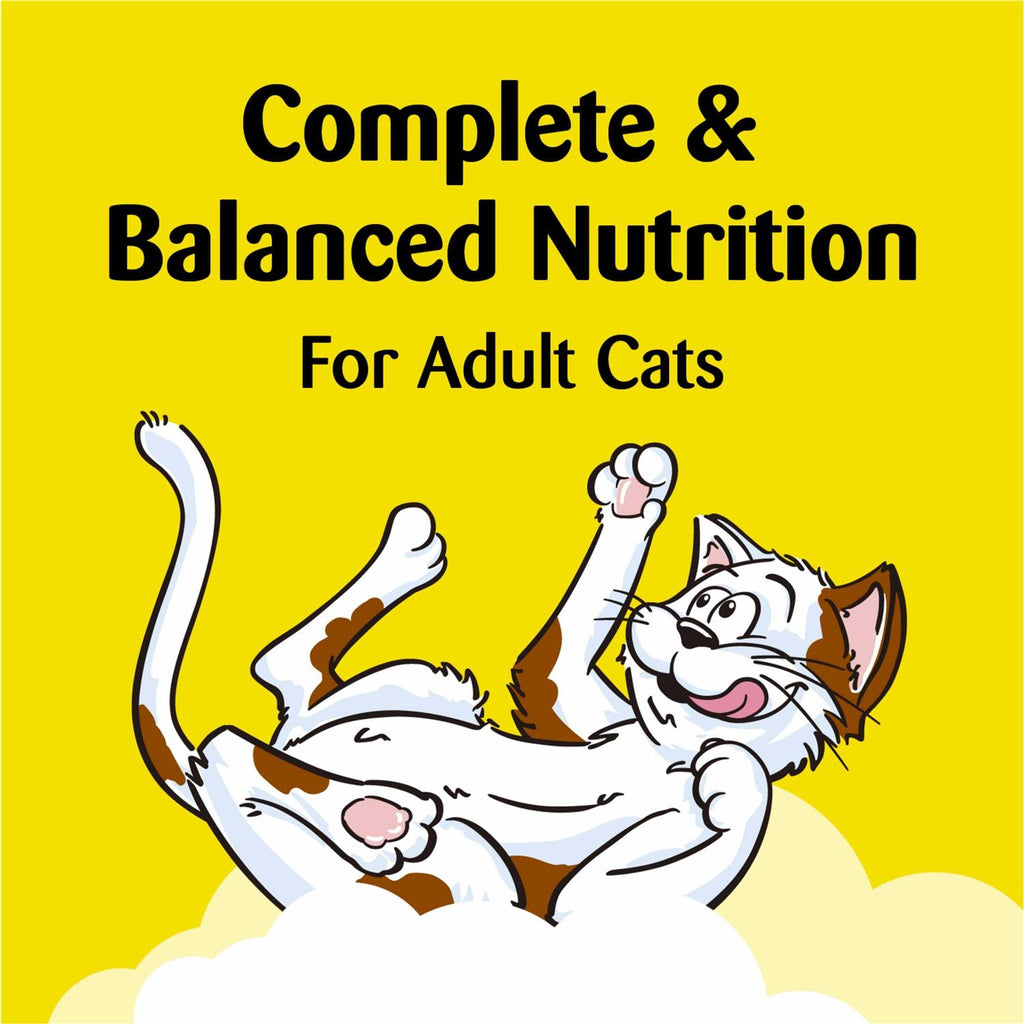 Cat Toy Treat Dispenser a7