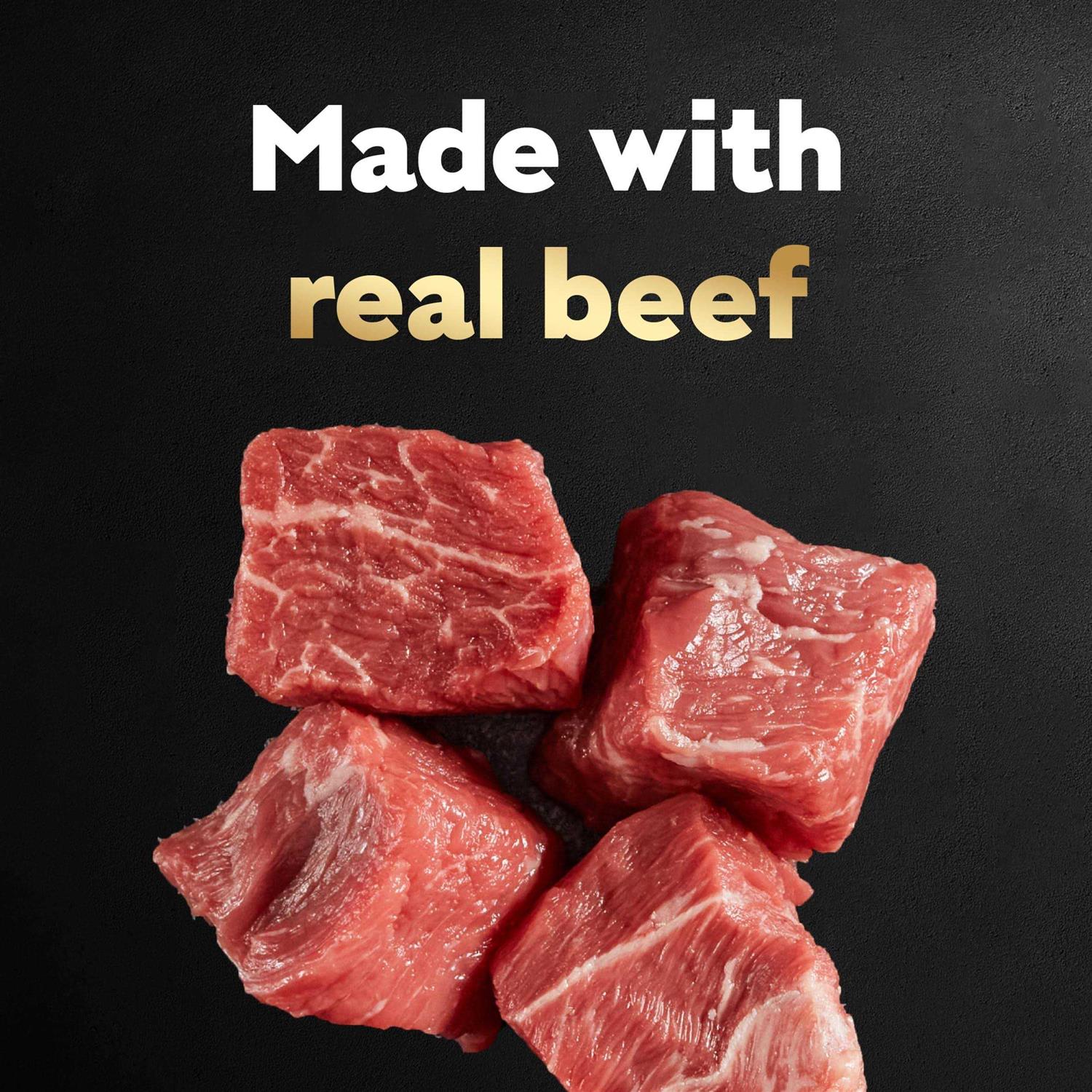 Gourmet Filet Mignon Dog Food in Sauce k7m