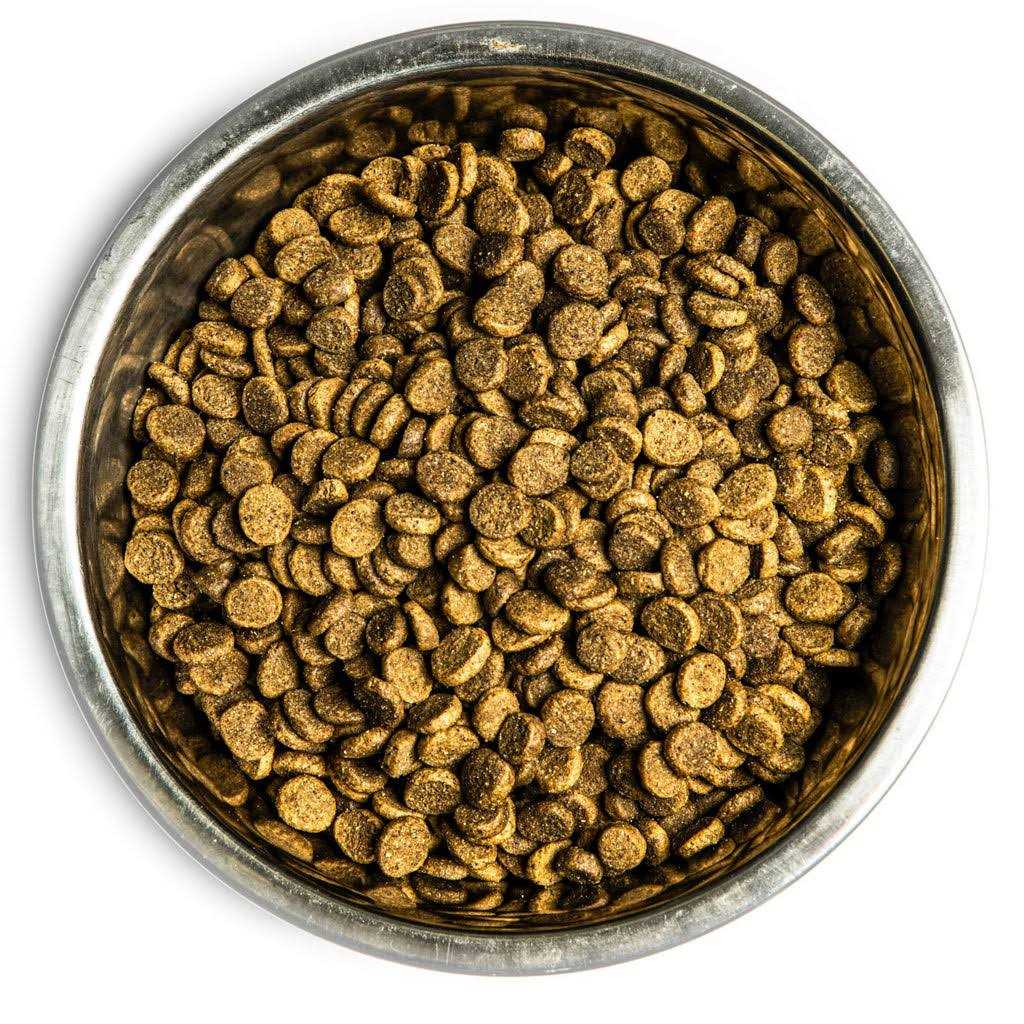 Dry Dog Food for Adult Dogs 7k