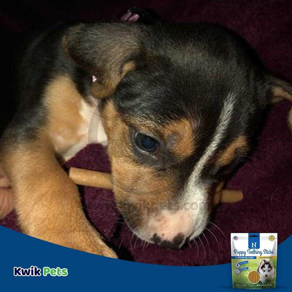 Puppy Teething Treats a7