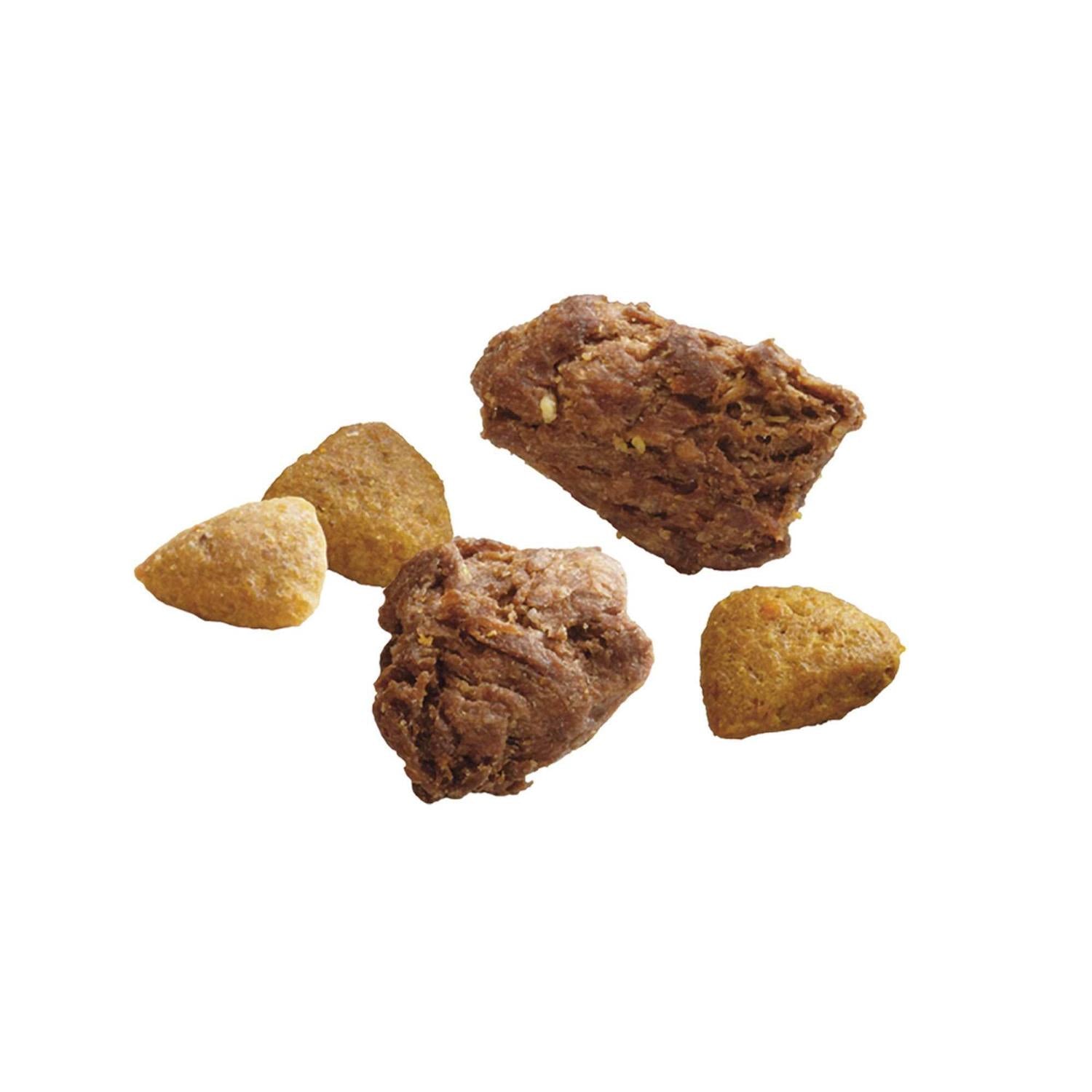 Dry Dog Food Natural Recipe k7