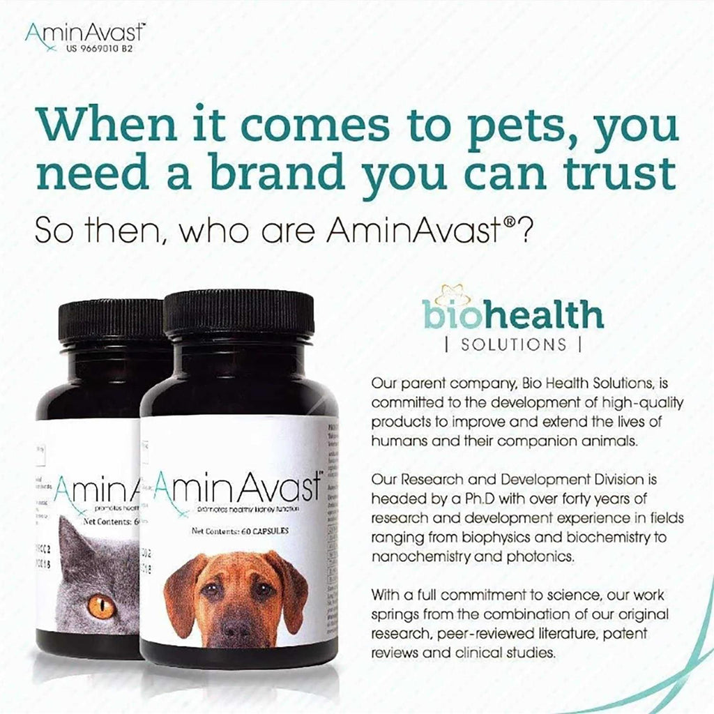 Kidney Support for Cats a7