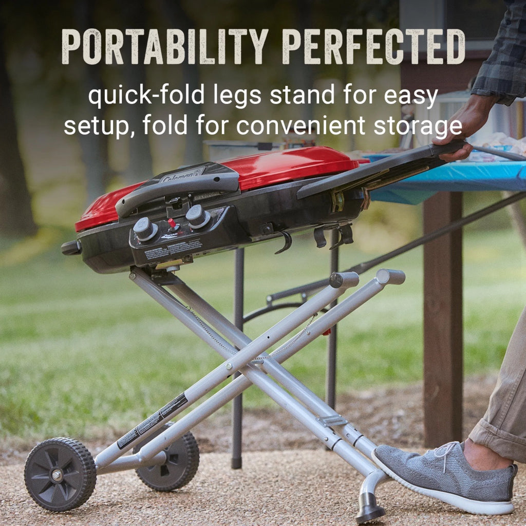 Portable 2 Burner Propane Gas Grill k7