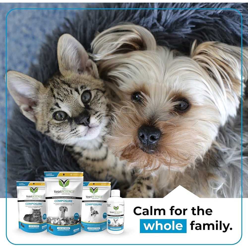 Cat Calming Supplement Pet Supplies k7m