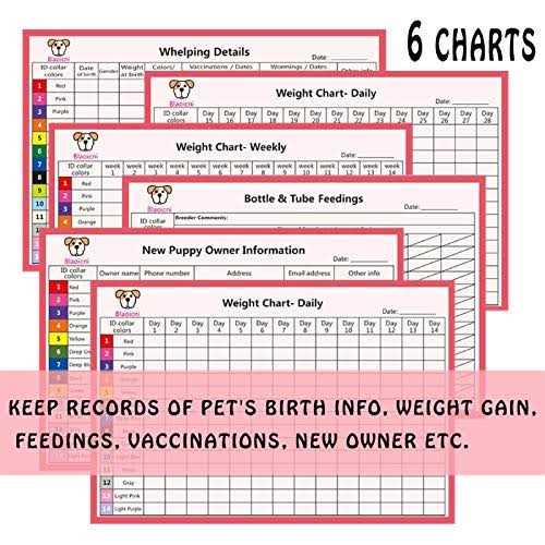 Puppy ID Collar Soft Nylon Adjustable Breakaway Safety 6p