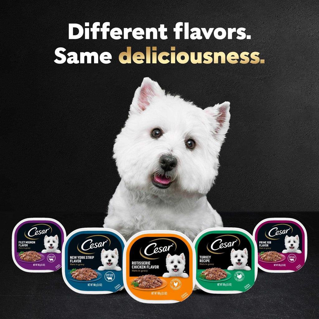 Gourmet Filet Mignon Dog Food in Sauce k7m