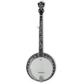 Ibanez B300 5-String Banjo