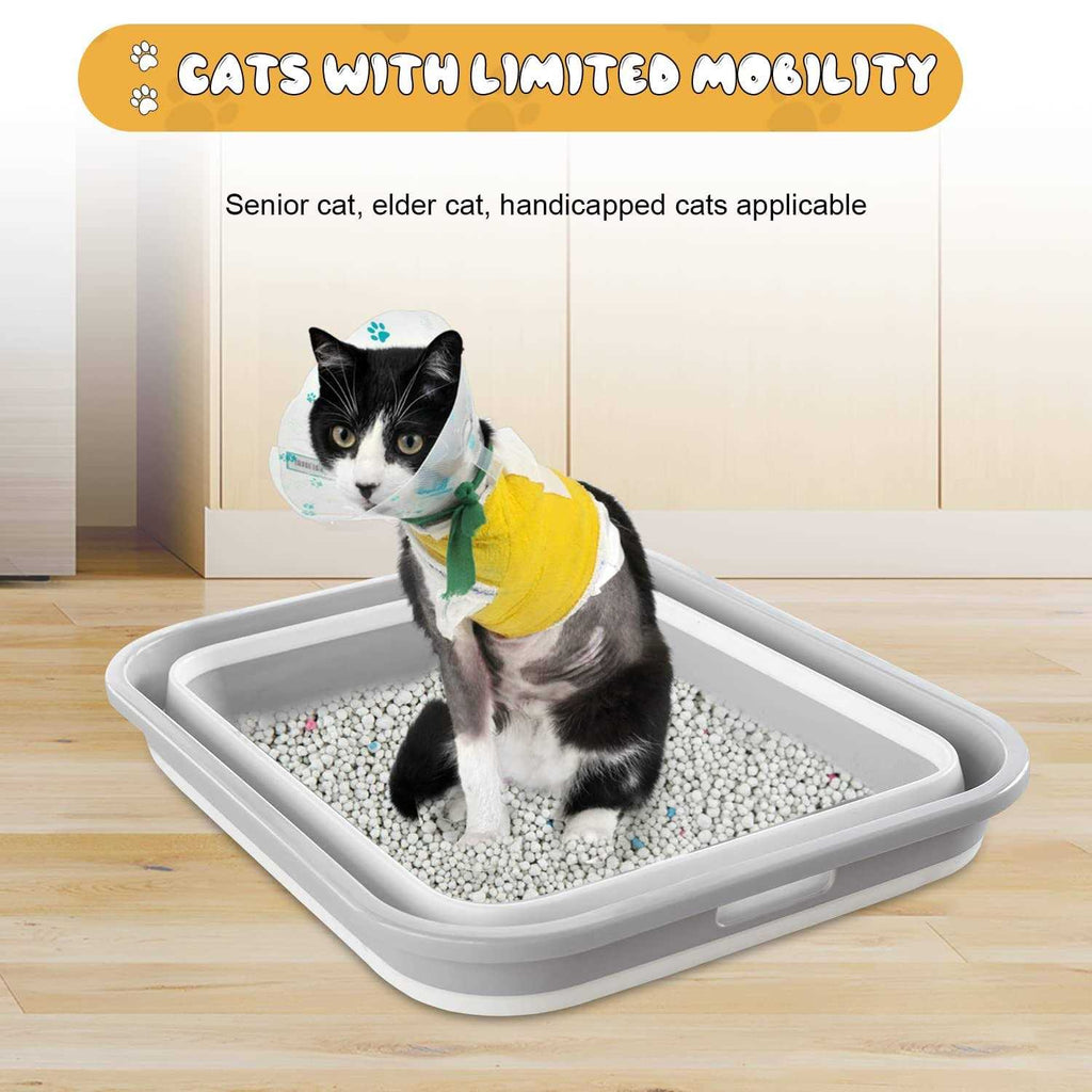 Cat Litter Box Low Entry for Senior Disabled Cats k7