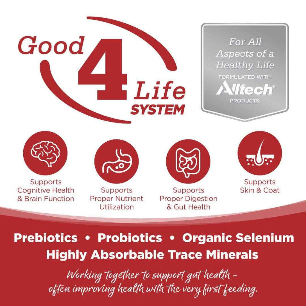 Grain Free Dry Dog Food Beef Red Lentils k7