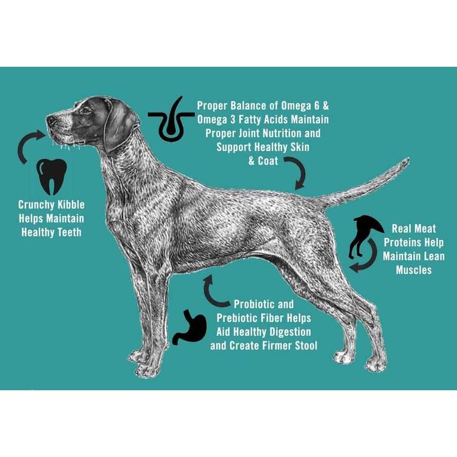 Adult Dry Dog Food k7m