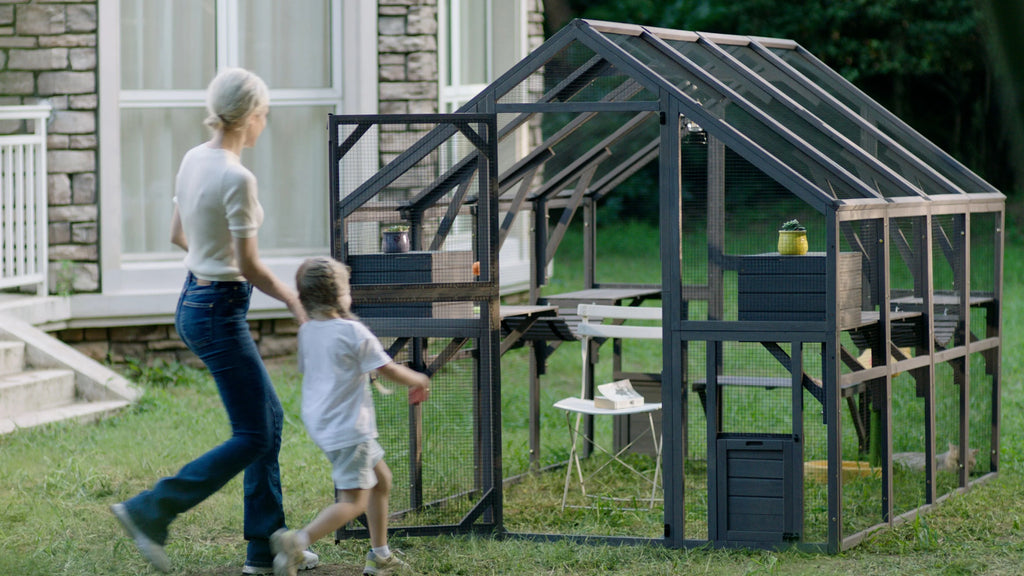 Outdoor Catio Enclosure with Bridges and Platforms f7