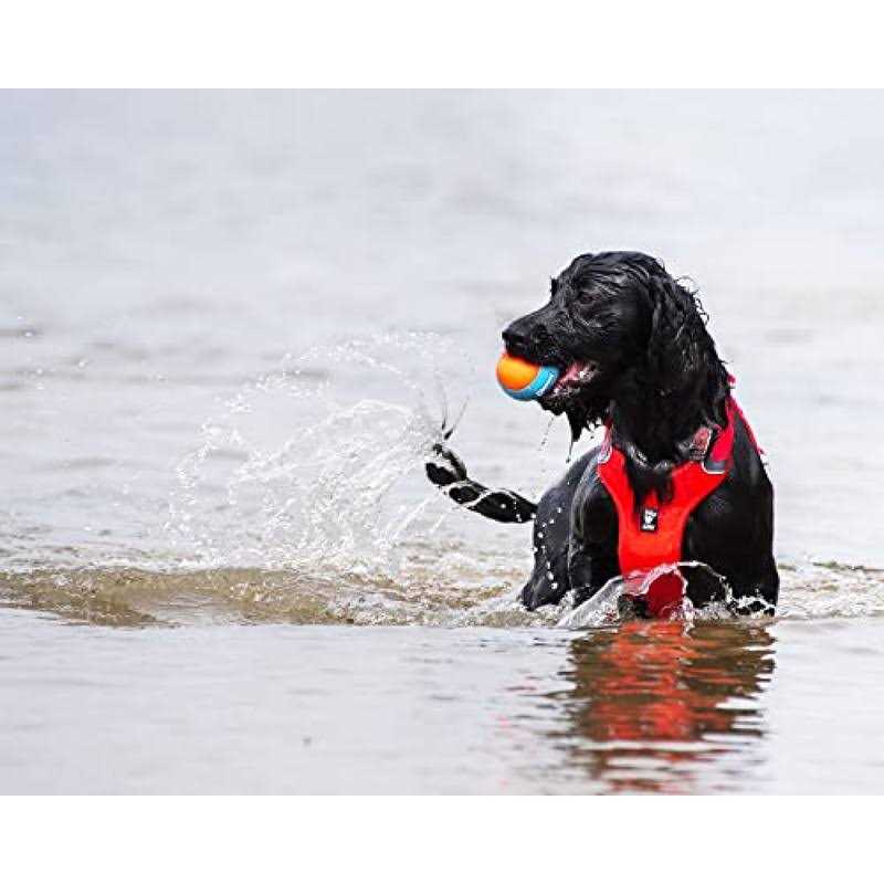 Squeak Ball for Dogs 7k