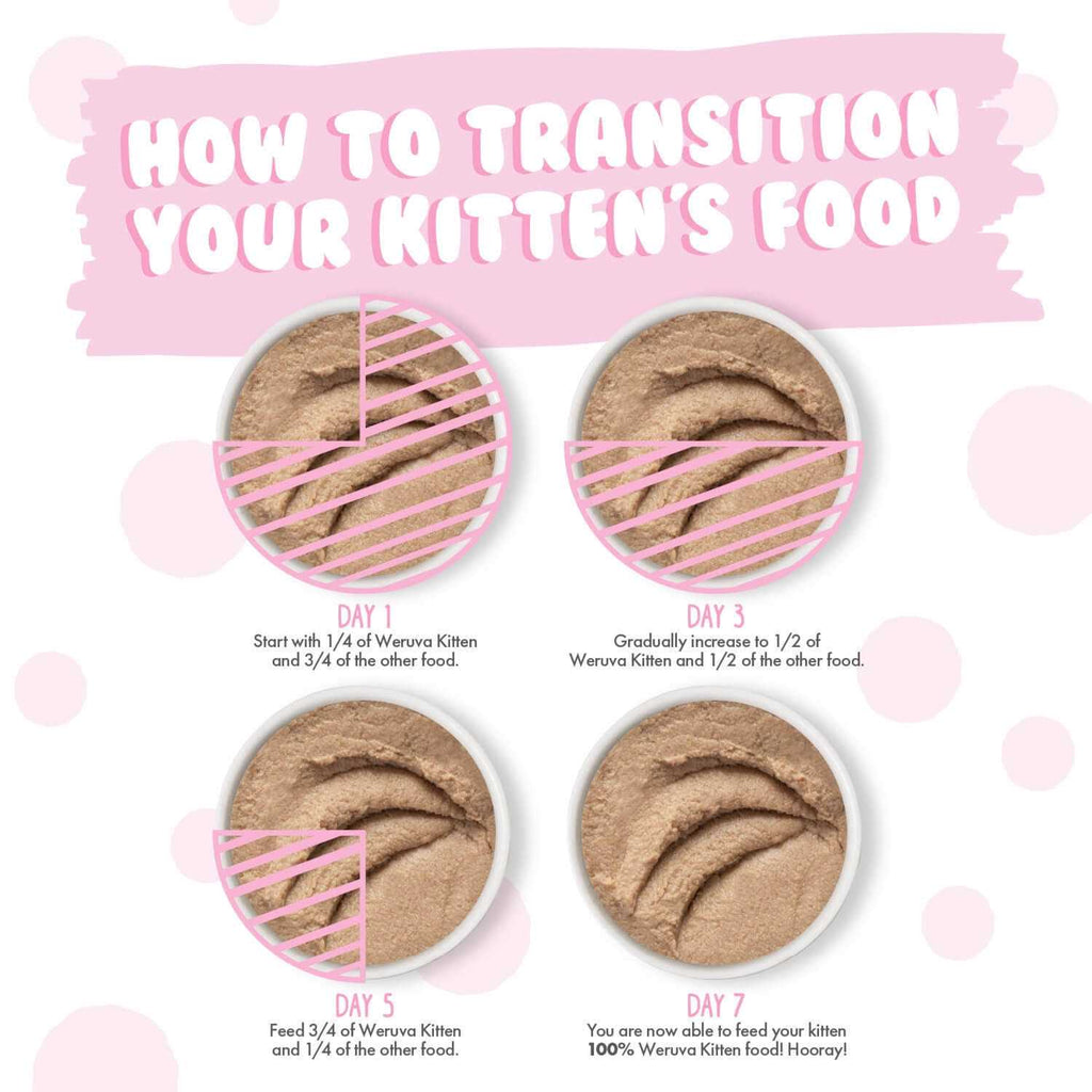 Chicken Breast in Puree Wet Cat Food a7