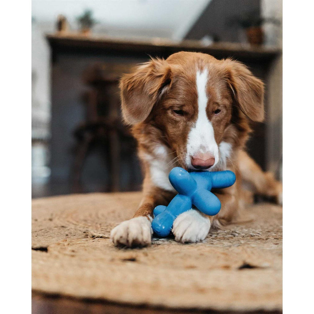 Dog Balloon Toy k7