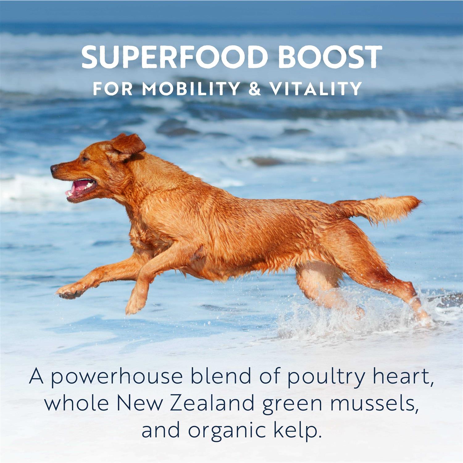 Air Dried Chicken Dog Food k7m
