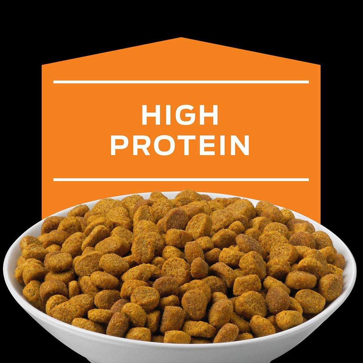 Dry Cat Food for Weight Management a7