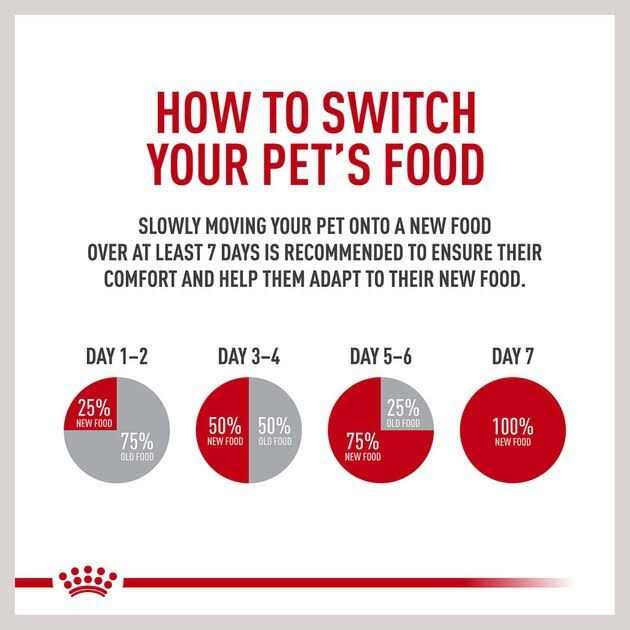 Wet Dog Food for Small Adult Dogs k7m