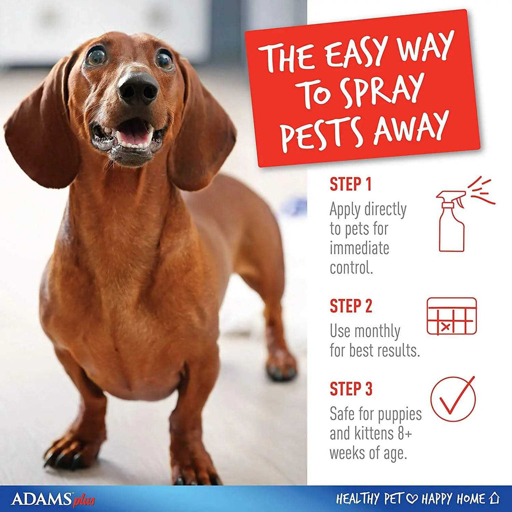 Flea Tick Spray for Pets k7m