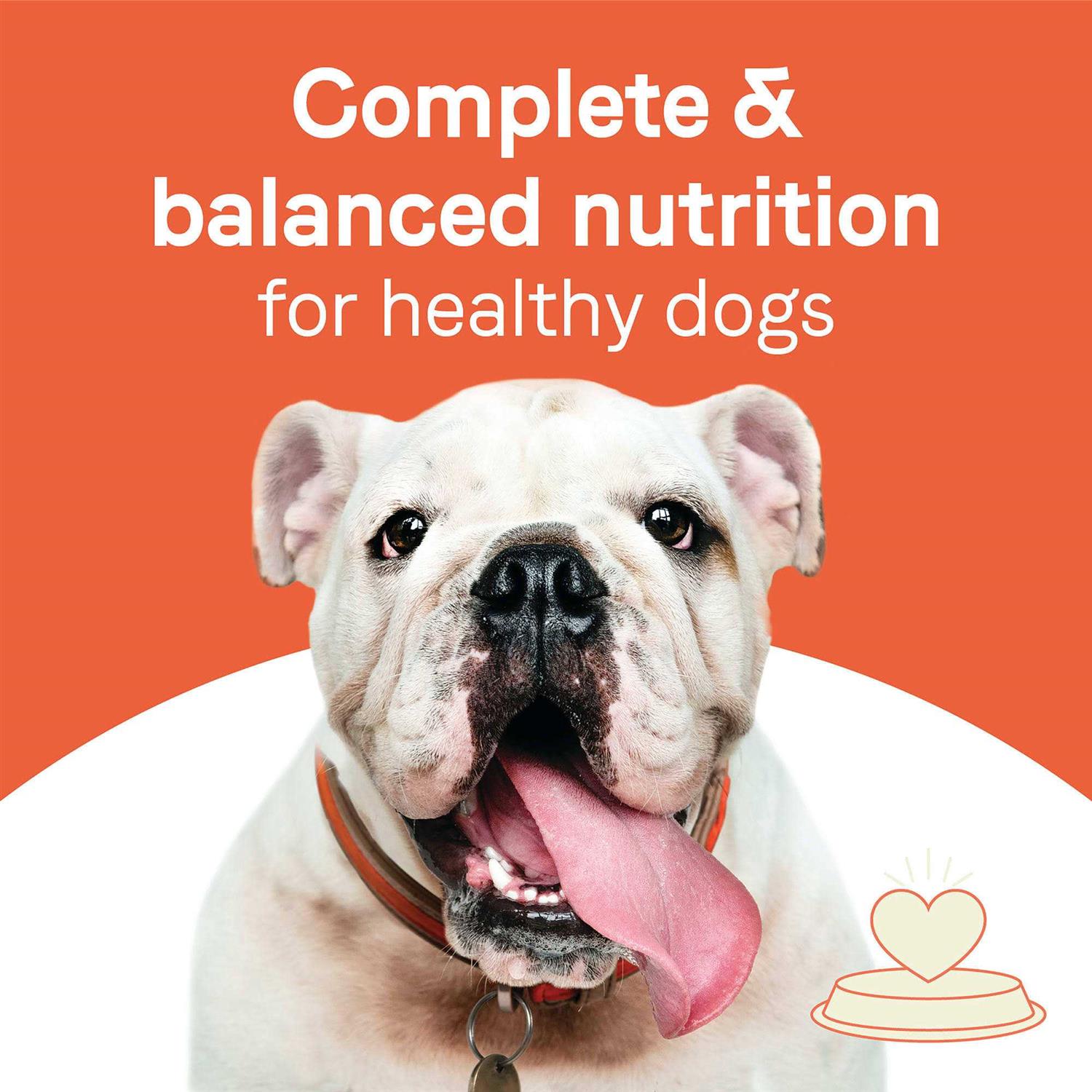 Dry Dog Food Beef and Oatmeal k7p