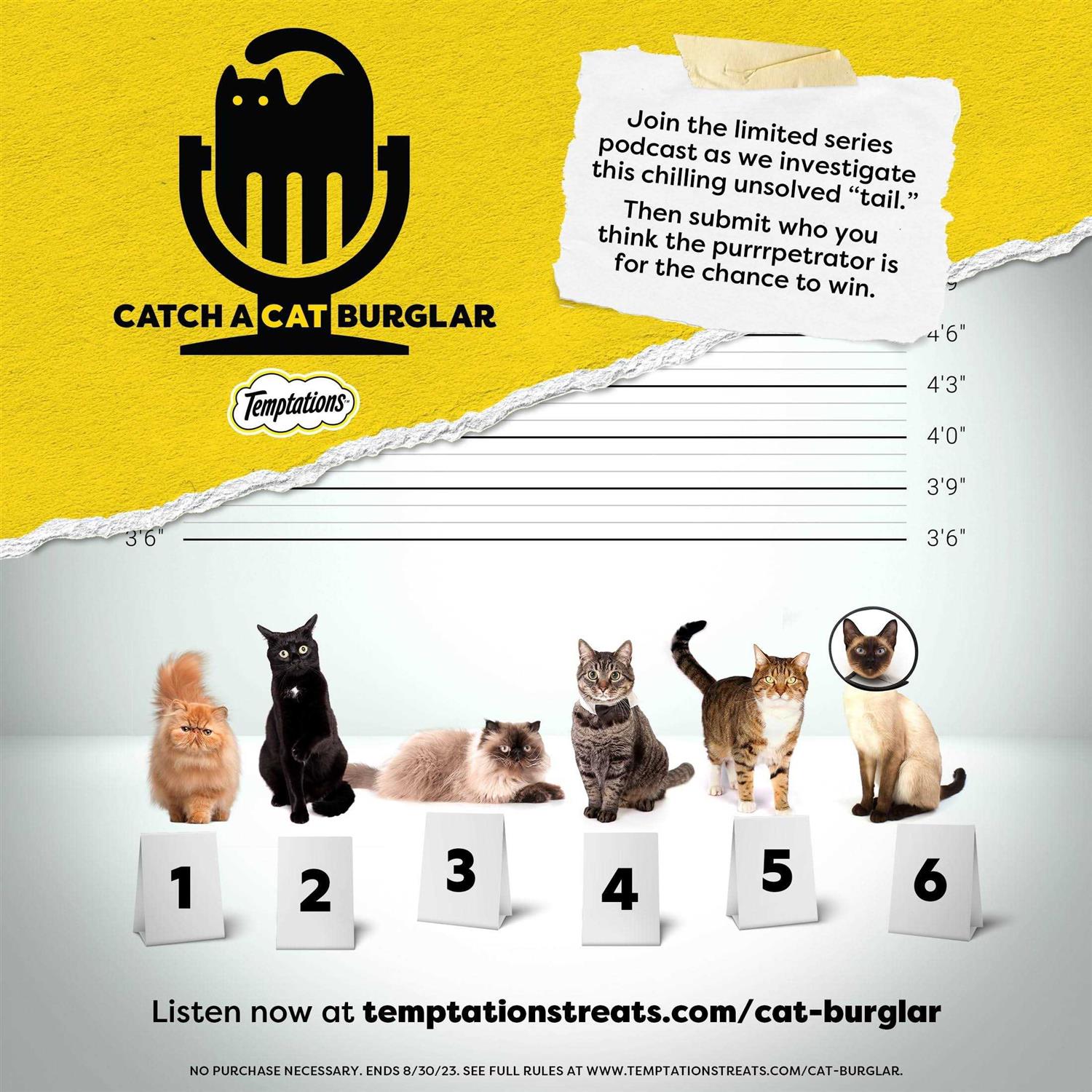 Cat Toy Treat Dispenser a7