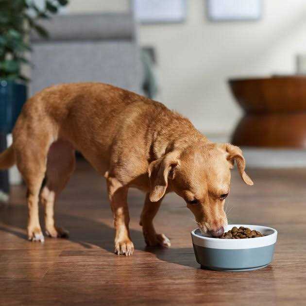Dry Dog Food Boar & Apple Adult Mini a7