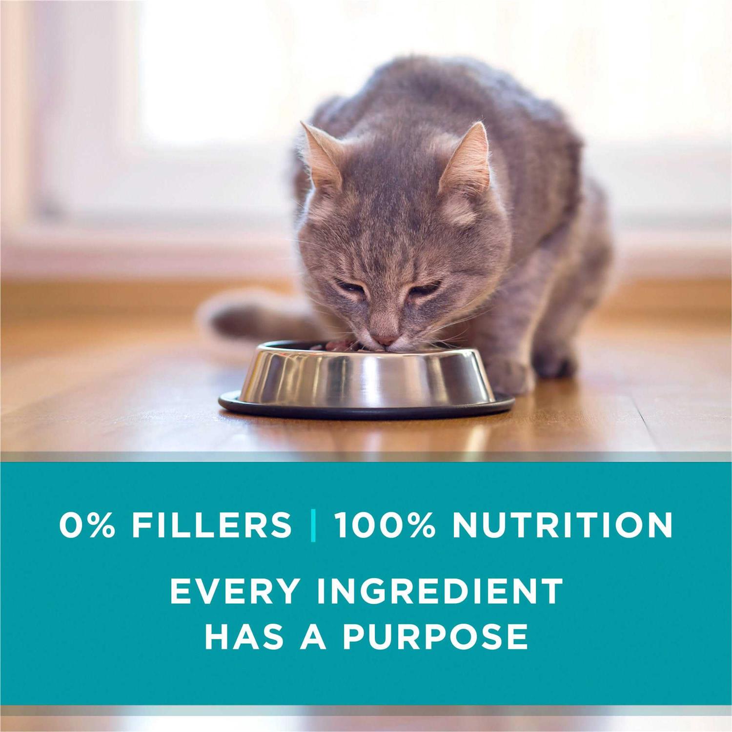 Cat Food Natural Recipe T7