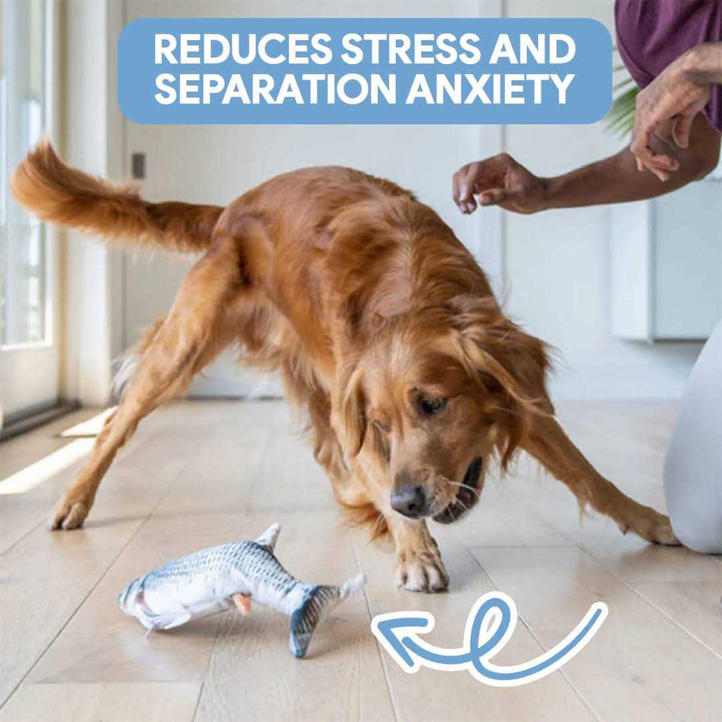 Interactive Moving Fish Toy for Dogs Cats k9