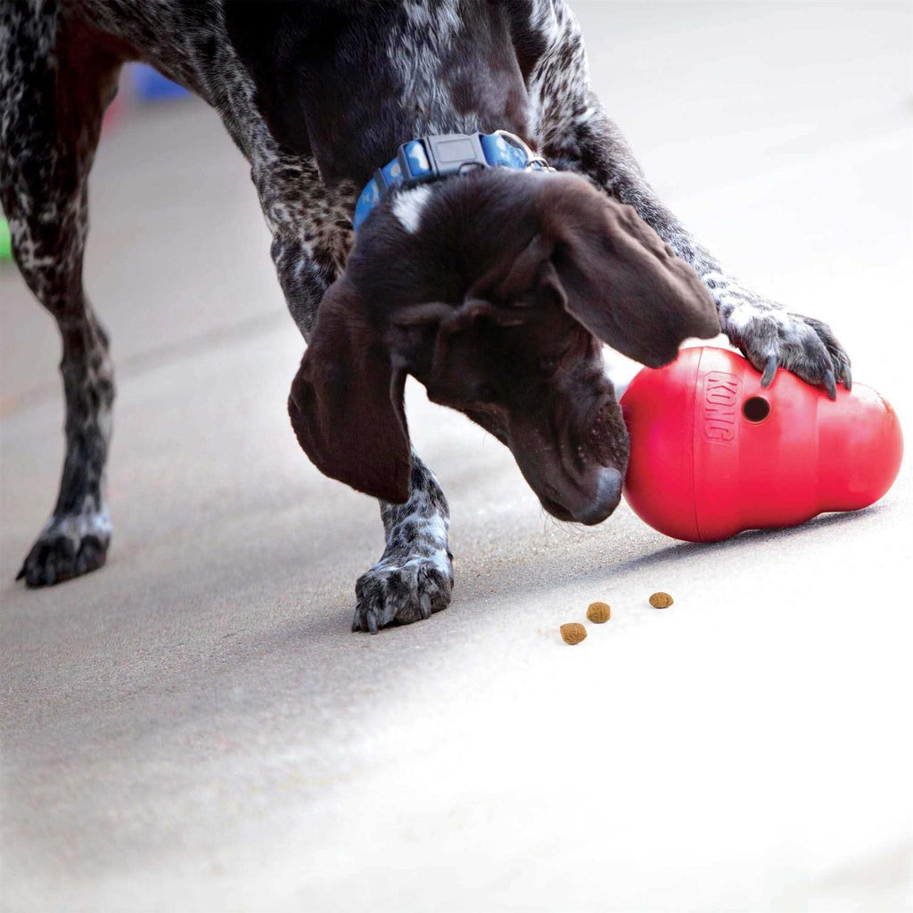 Dog Toy Dispenser Puzzle K7