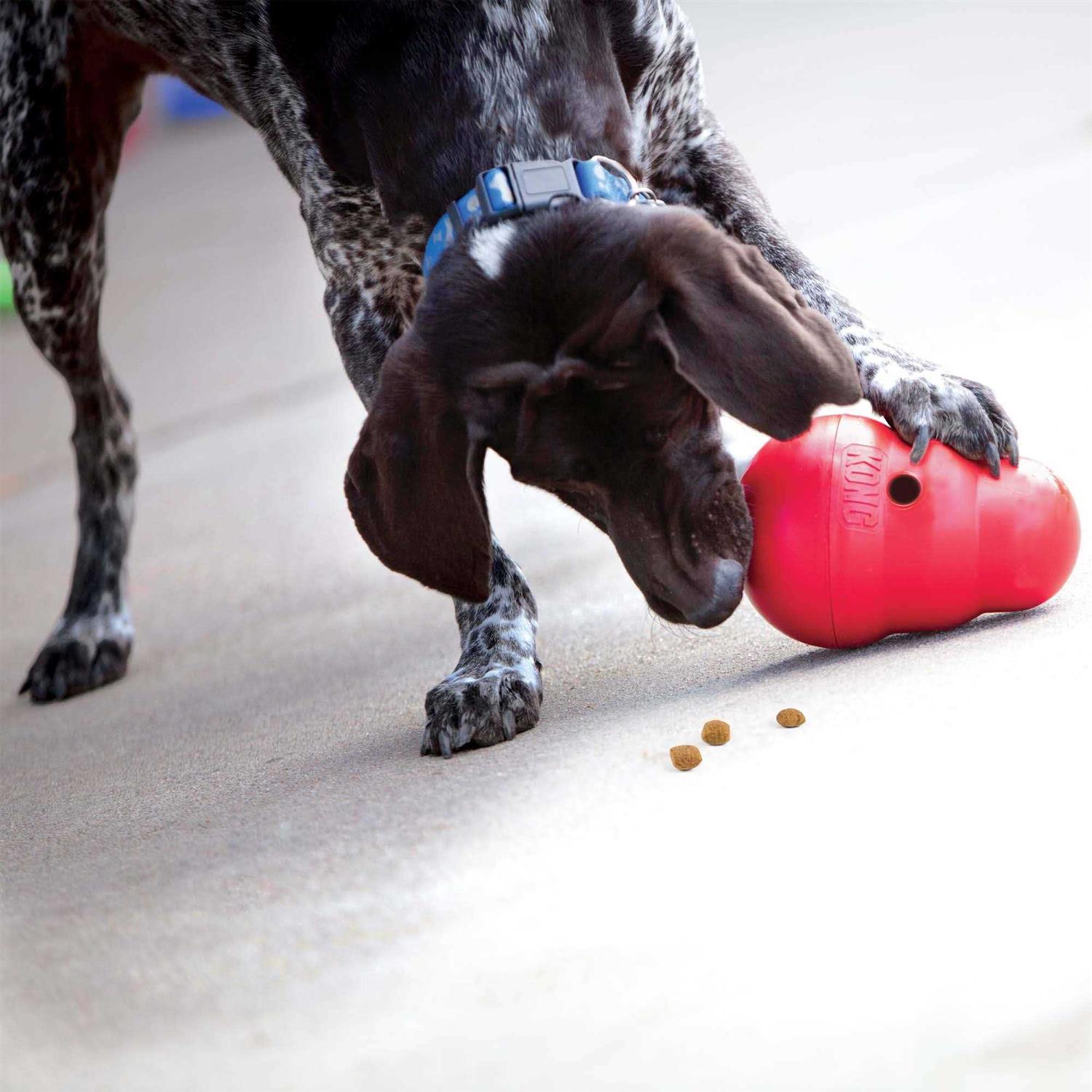 Dog Toy Dispenser Puzzle K7