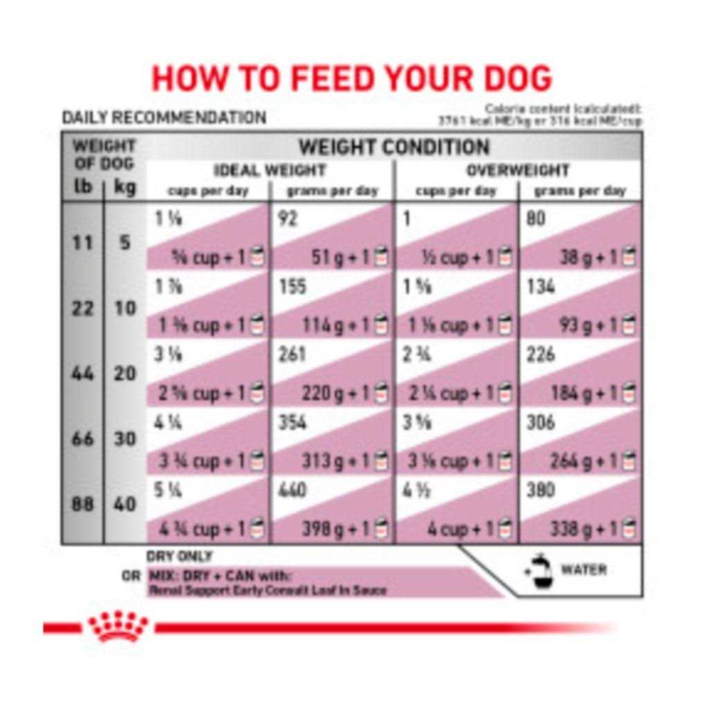 Dry Dog Food for Renal Support a7