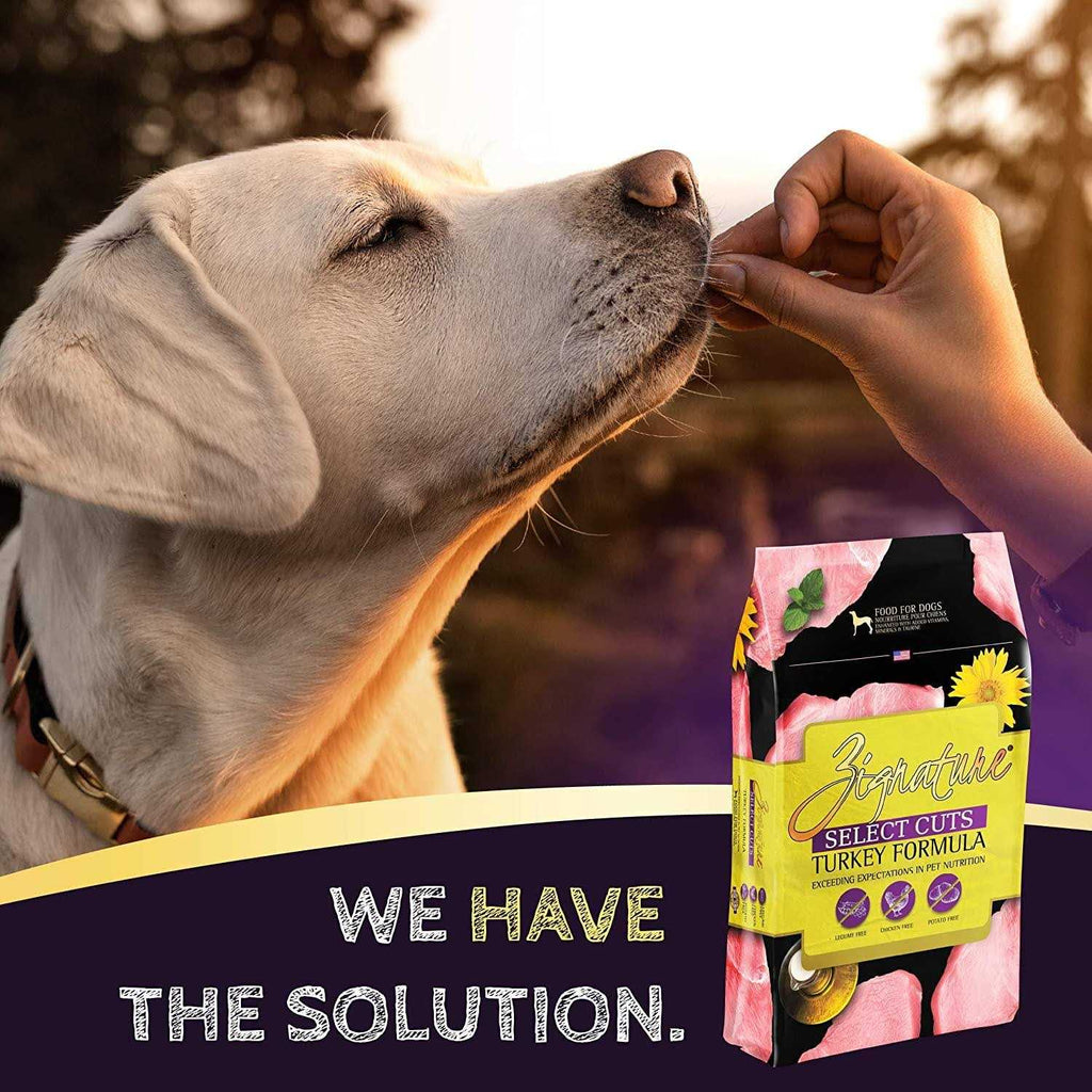 Turkey Formula Dry Dog Food a7